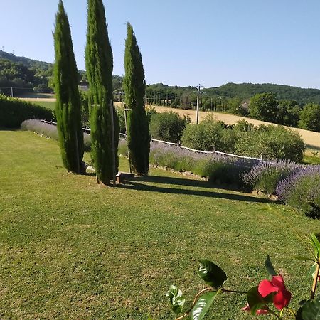 Suite Luna Bianca Assisi Bagian luar foto