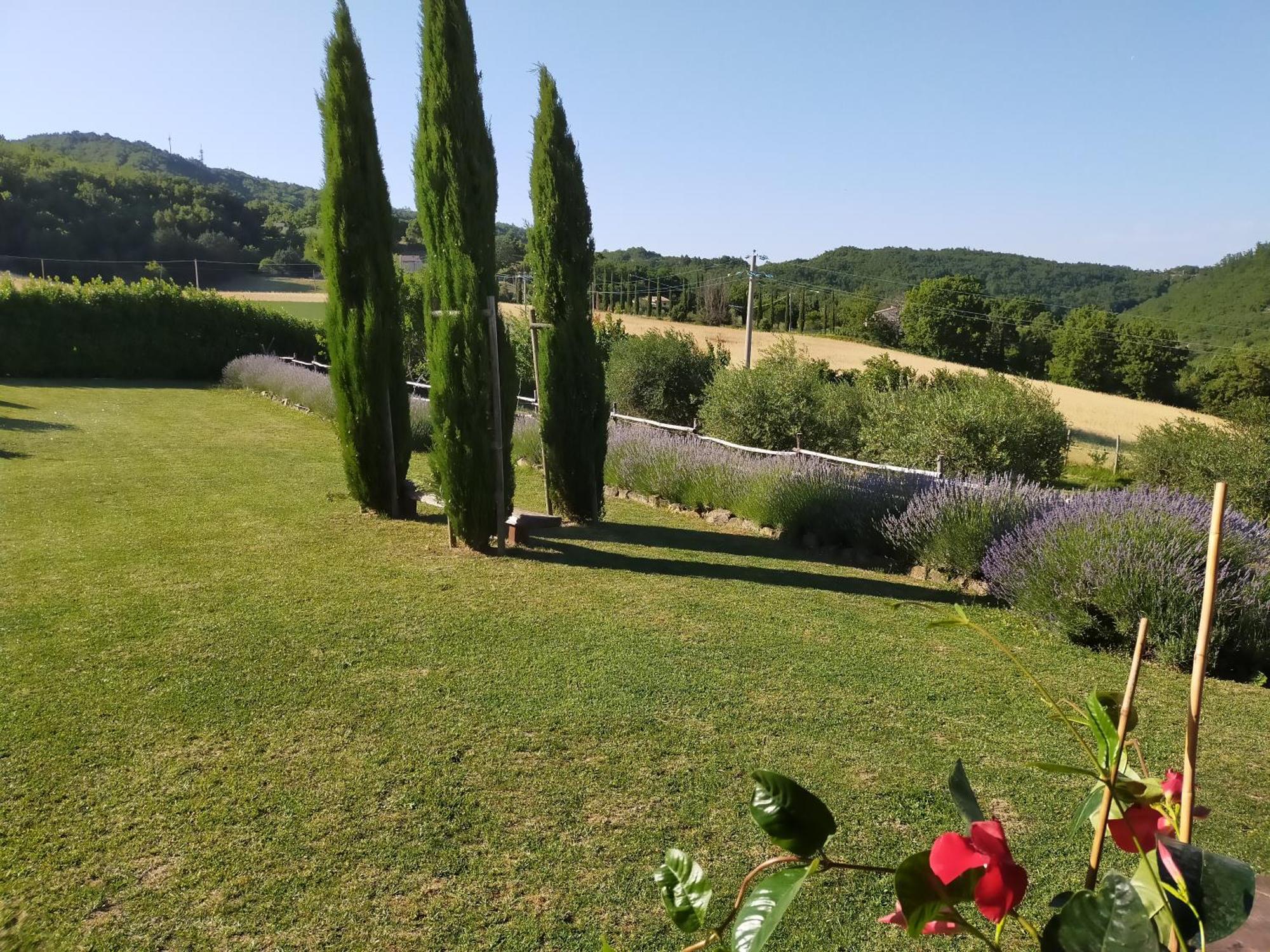 Suite Luna Bianca Assisi Bagian luar foto